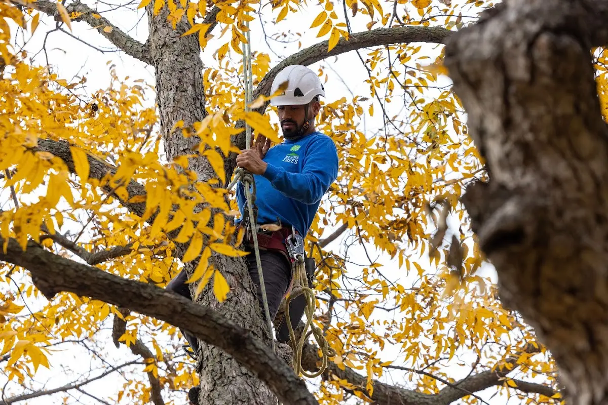 Skilled Storm Damage Cleanup crew working in Newfields