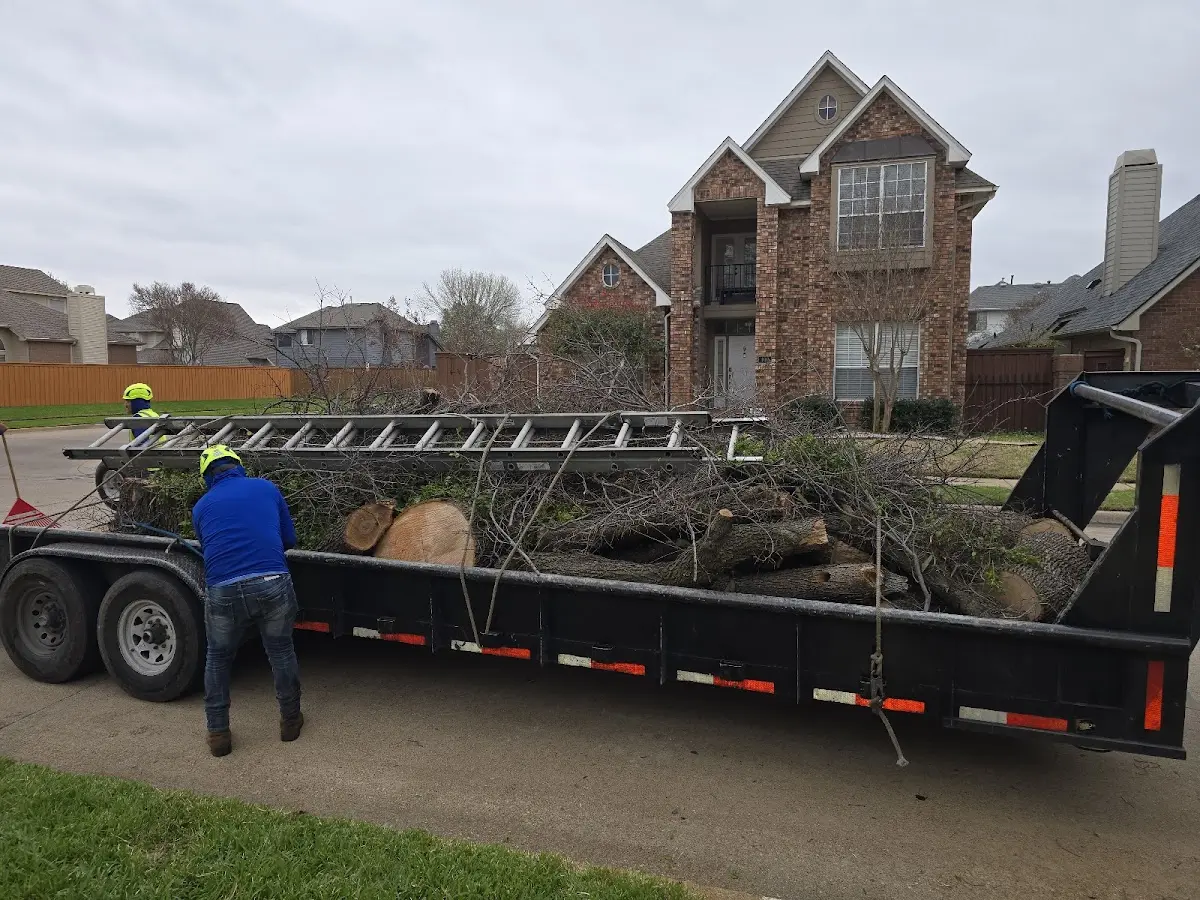 Expert Tree Removal with proper safety equipment in Newfields